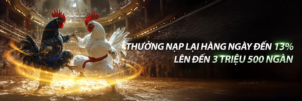 Đá gà trực tuyến kịch tính tại m99 code